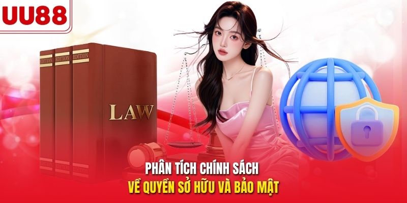 Phân tích chính sách về quyền sở hữu và bảo mật