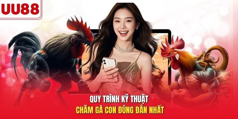 Quy trình kỹ thuật chăm gà con đúng đắn nhất