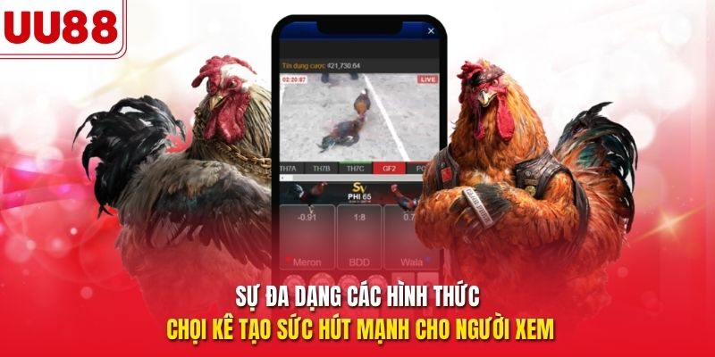 Sự đa dạng các hình thức chọi kê tạo sức hút mạnh cho người xem