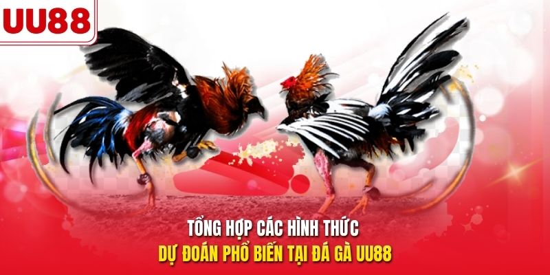 Tổng hợp các hình thức dự đoán phổ biến tại đá gà UU88